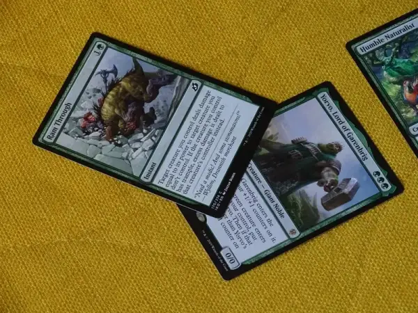 Gra Karciana Fantasy: Podstawy, Zasady i Popularne Tytuły